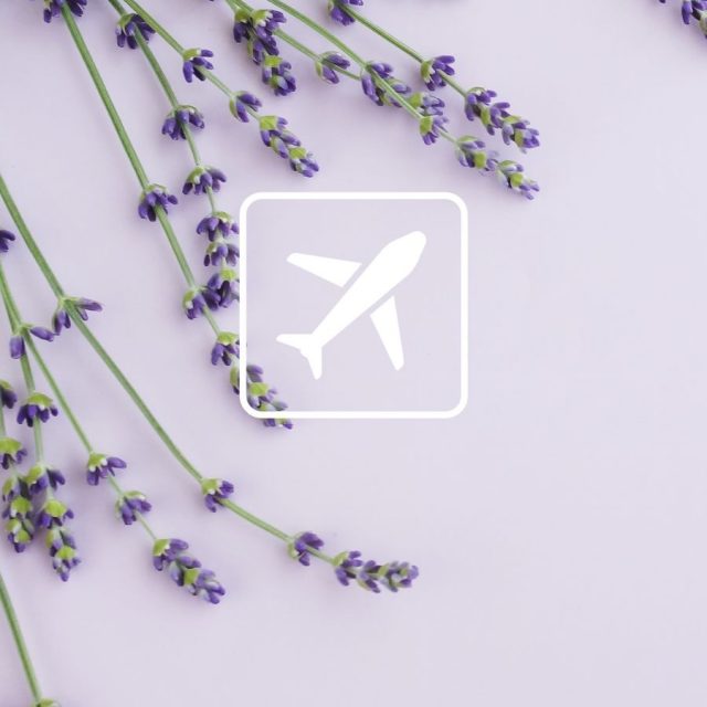 Vaša prva destinacija pre destinacije. ✈️

Pre nego što poletite ka novim mestima, svratite do Duty Free Shop-a na aerodromu i pronađite omiljene proizvode za put ili poklon koji će obradovati nekoga po dolasku.